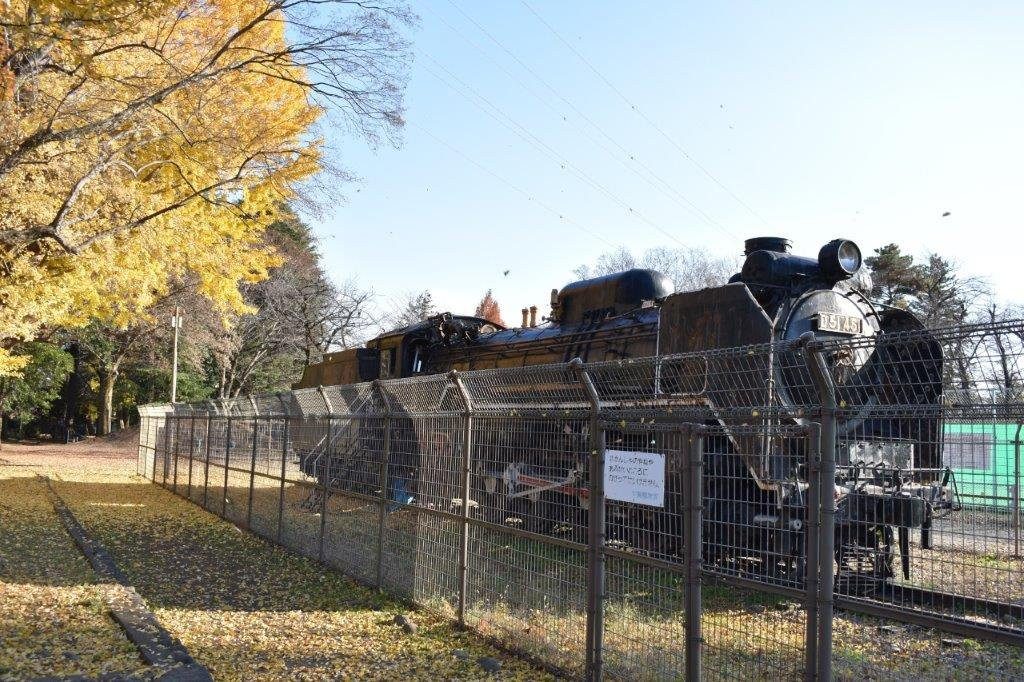 Showa Park-昭岛市必去景点