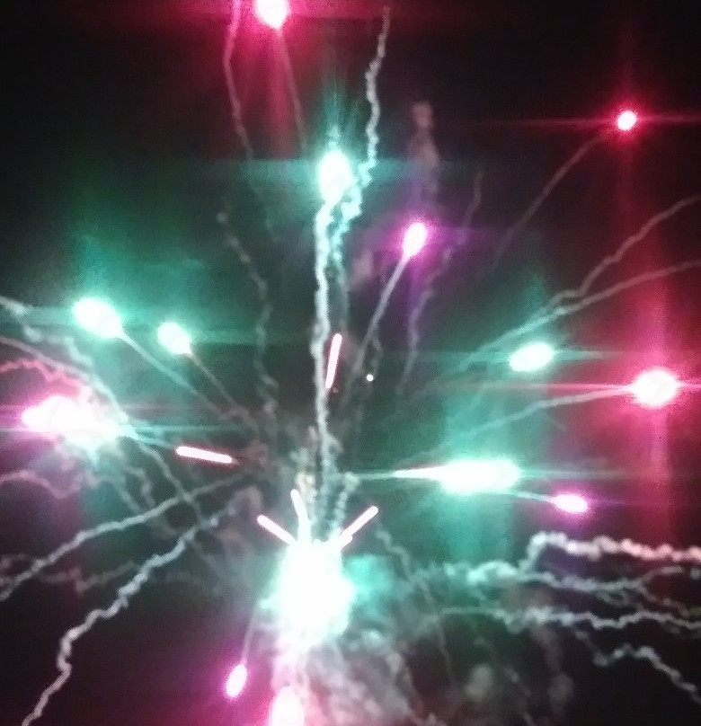 Crane's Roost Park-阿尔塔蒙特斯普林斯必去景点