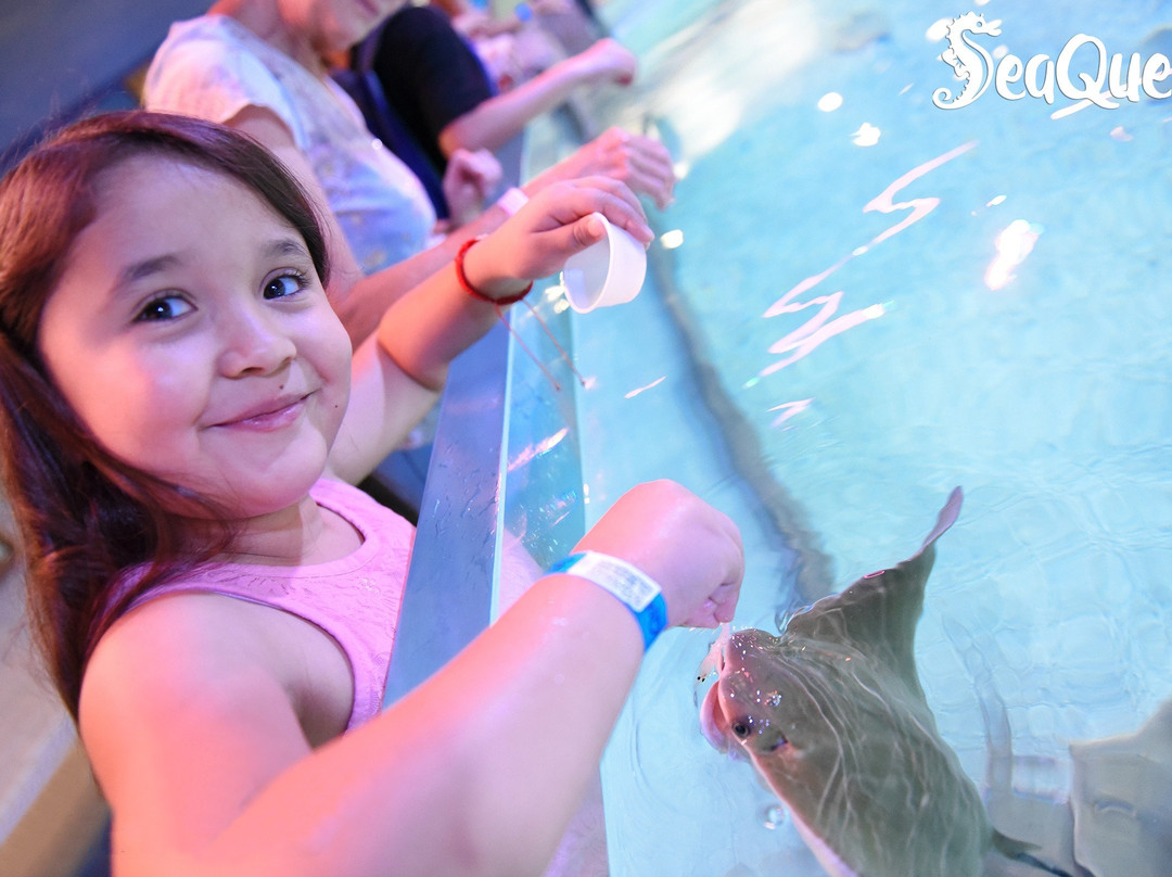 Woodbridge Aquarium & Wildlife Center-伍德布里奇必去景点