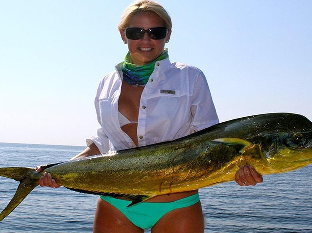 Stuart Florida Fishing Charter-斯图尔特必去景点