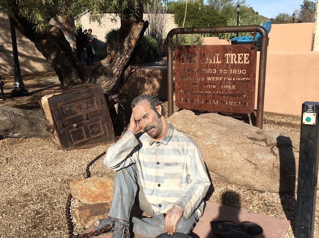 The Jail Tree-Wickenburg必去景点