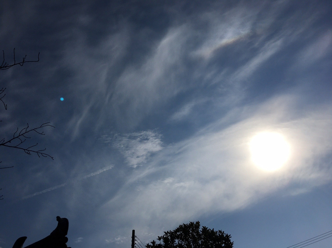 Kyoshinji Temple-加古川市必去景点