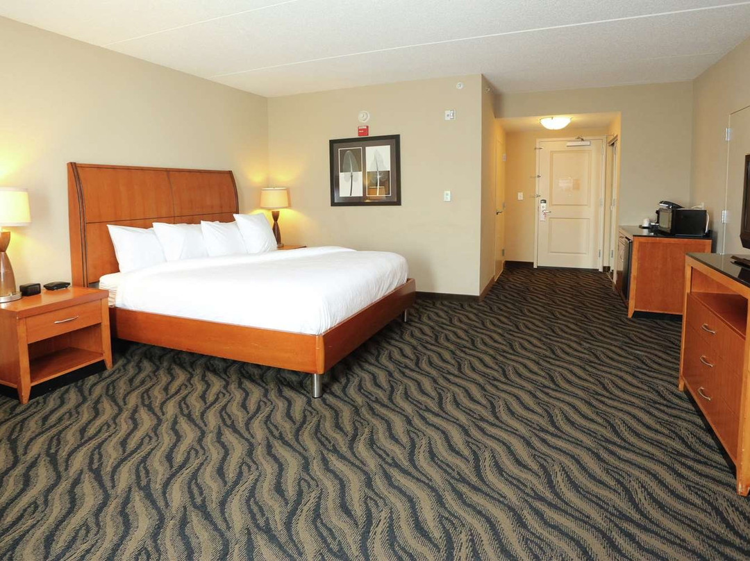 Hilton Garden Inn Chesapeake/Suffolk主图