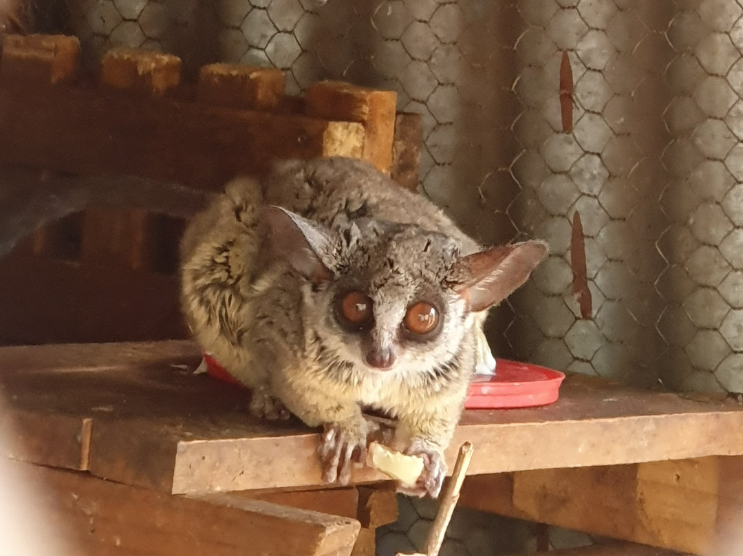 Sondela Nature Reserve Accommodation主图