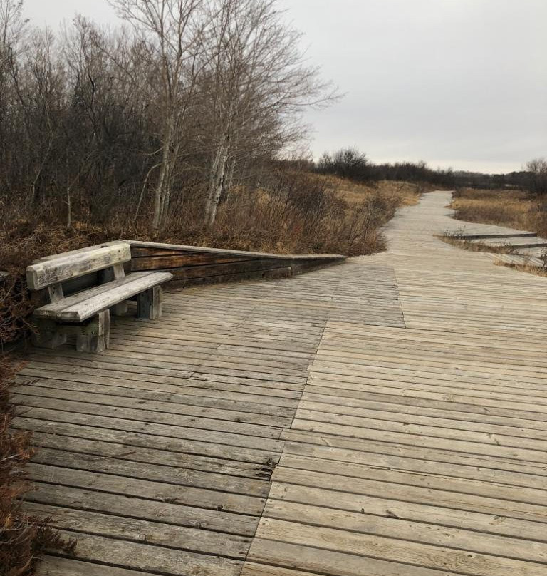 Cranberry Flats Conservation Area-萨斯卡通必去景点