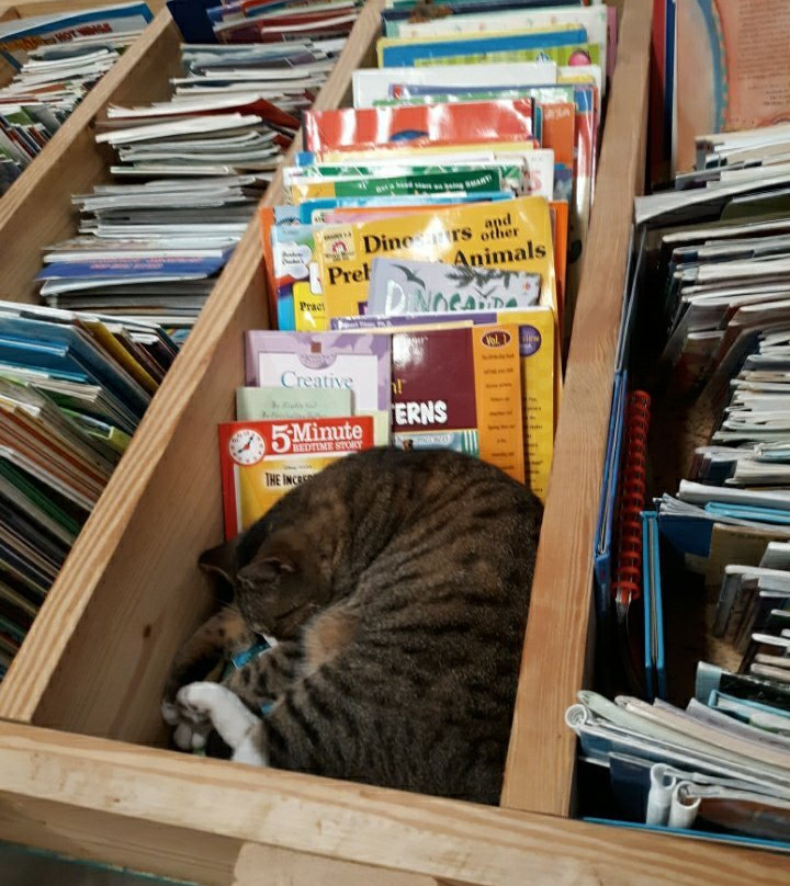 Fifth Street Books-Mebane必去景点