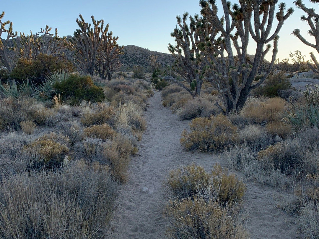 Teutonia Peak-Cima必去景点