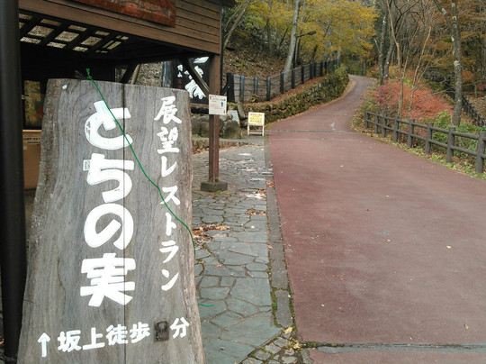 Forest of Tokyo Citizen-桧原村必去景点