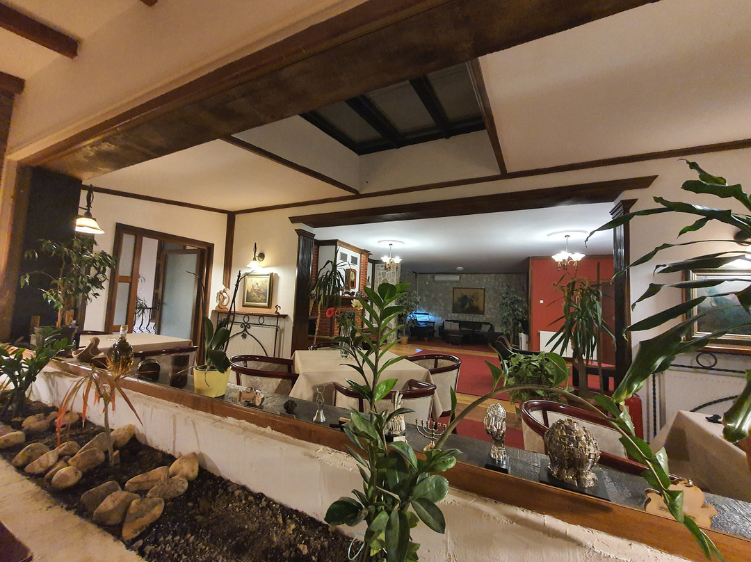 Villa Vodno主图