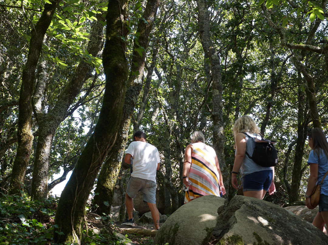 Take me to-里斯本必去景点