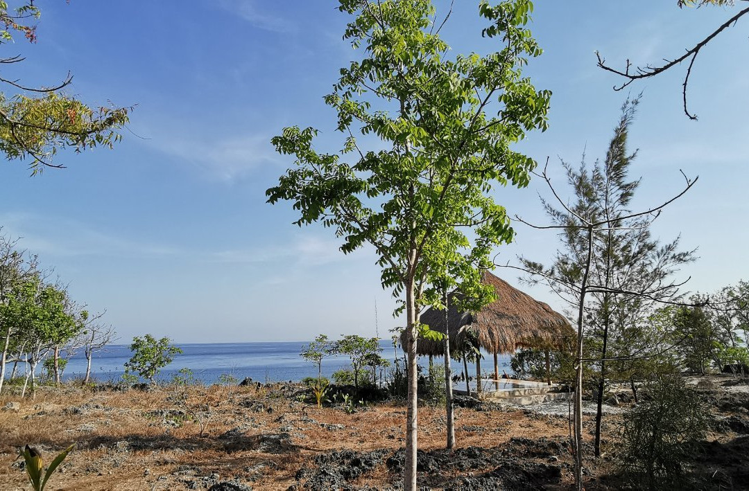 Oro Beach Houses主图