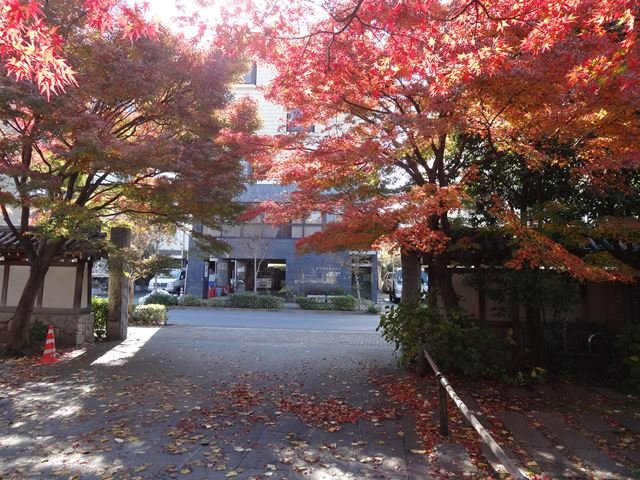 Koen-ji Temple-杉并区必去景点