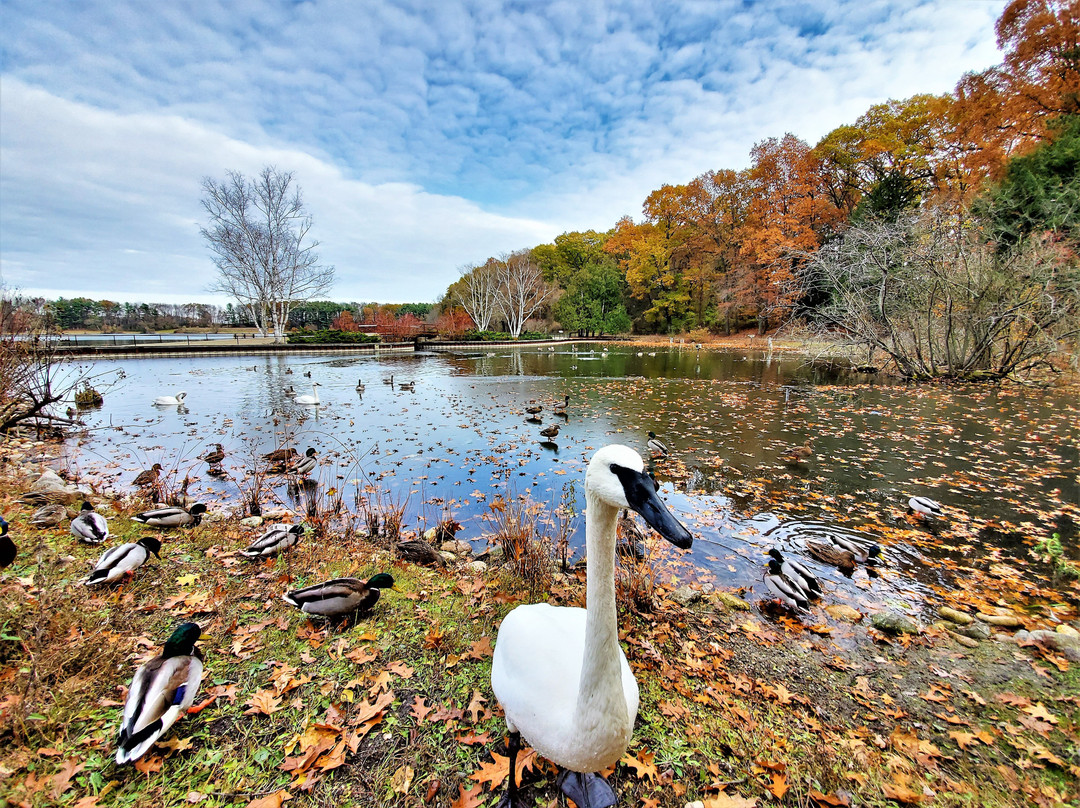 W.K. Kellogg Bird Sanctuary景点图片