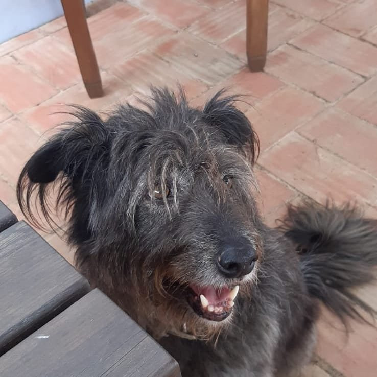 Monte da Casteleja主图