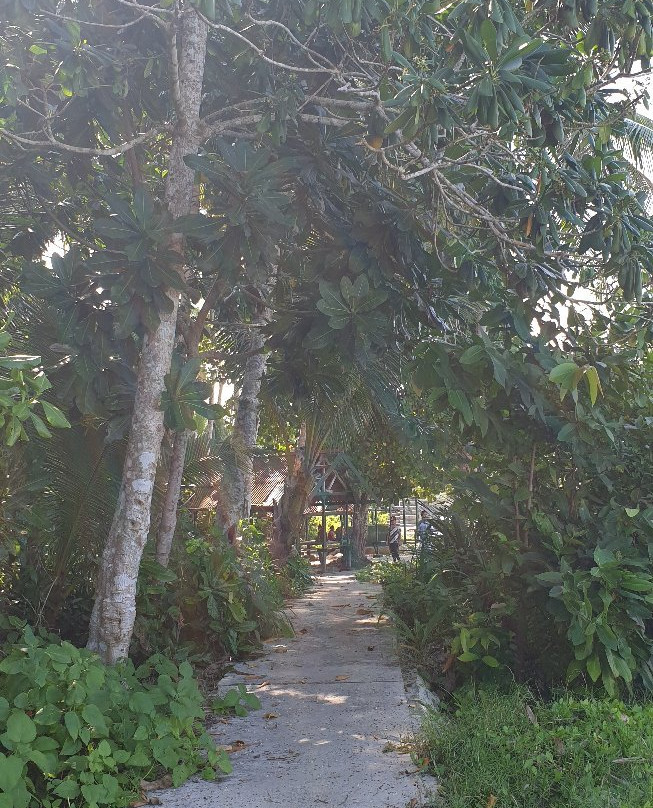 Tanjung Saruri-Biak必去景点