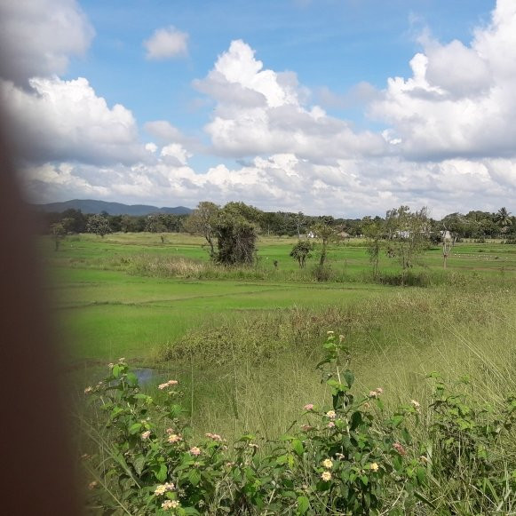 Sadewa Holiday Inn主图