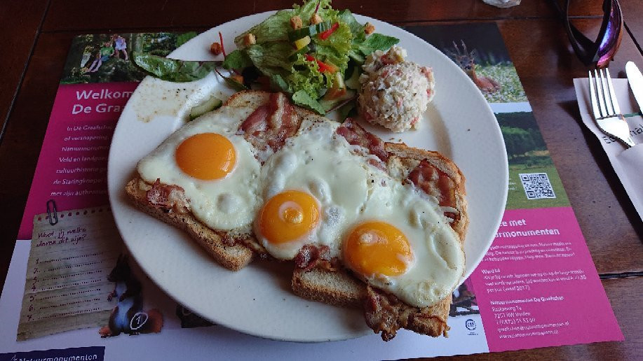 De Hoofdige Boer主图