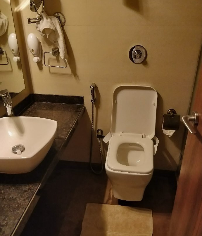 Hotel Reyansh Grand主图