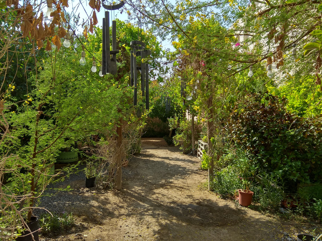 SAF Art Spaces-沙迦必去景点