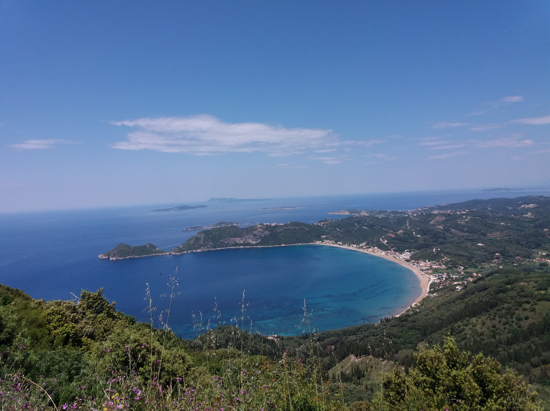 Agrilia Studios主图