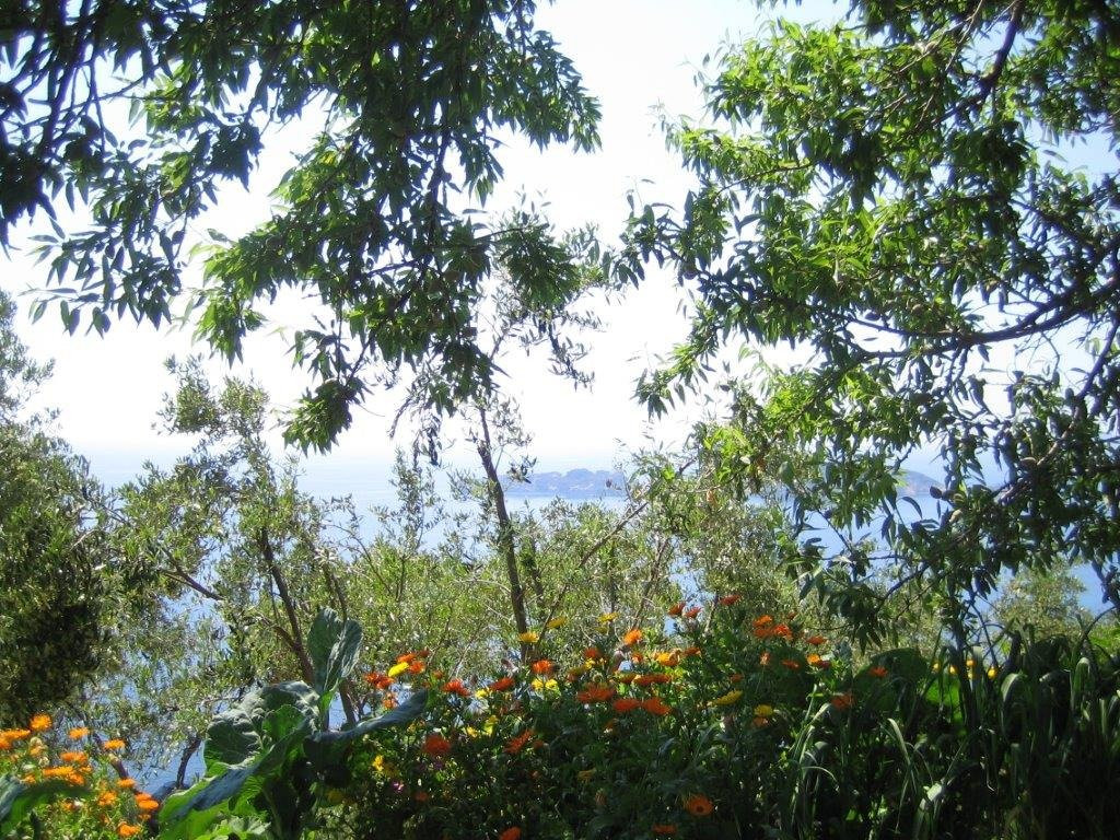 Agrilia Studios主图