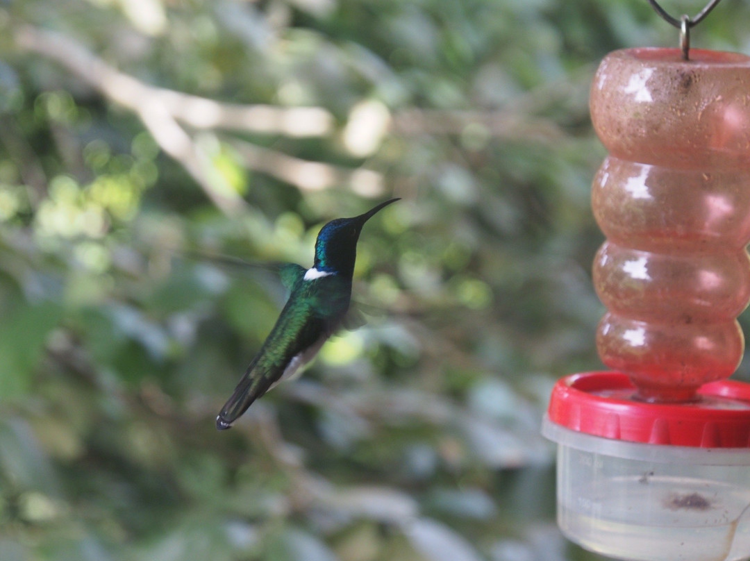 Casa Relax Minca主图