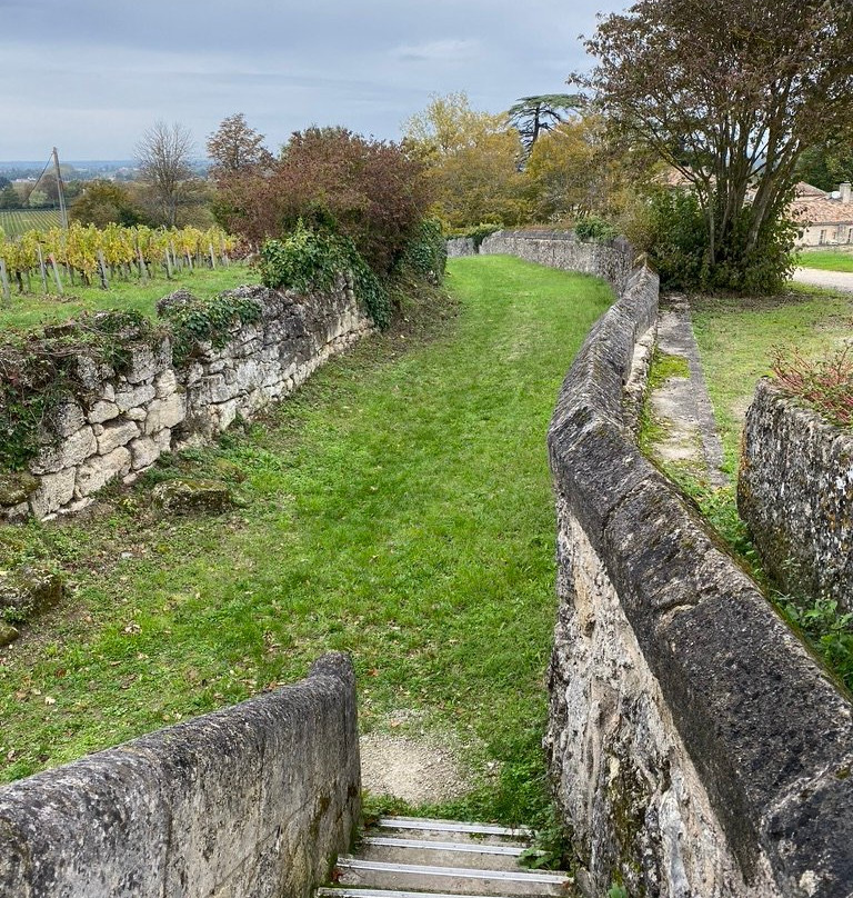 Le Relais de Franc Mayne主图