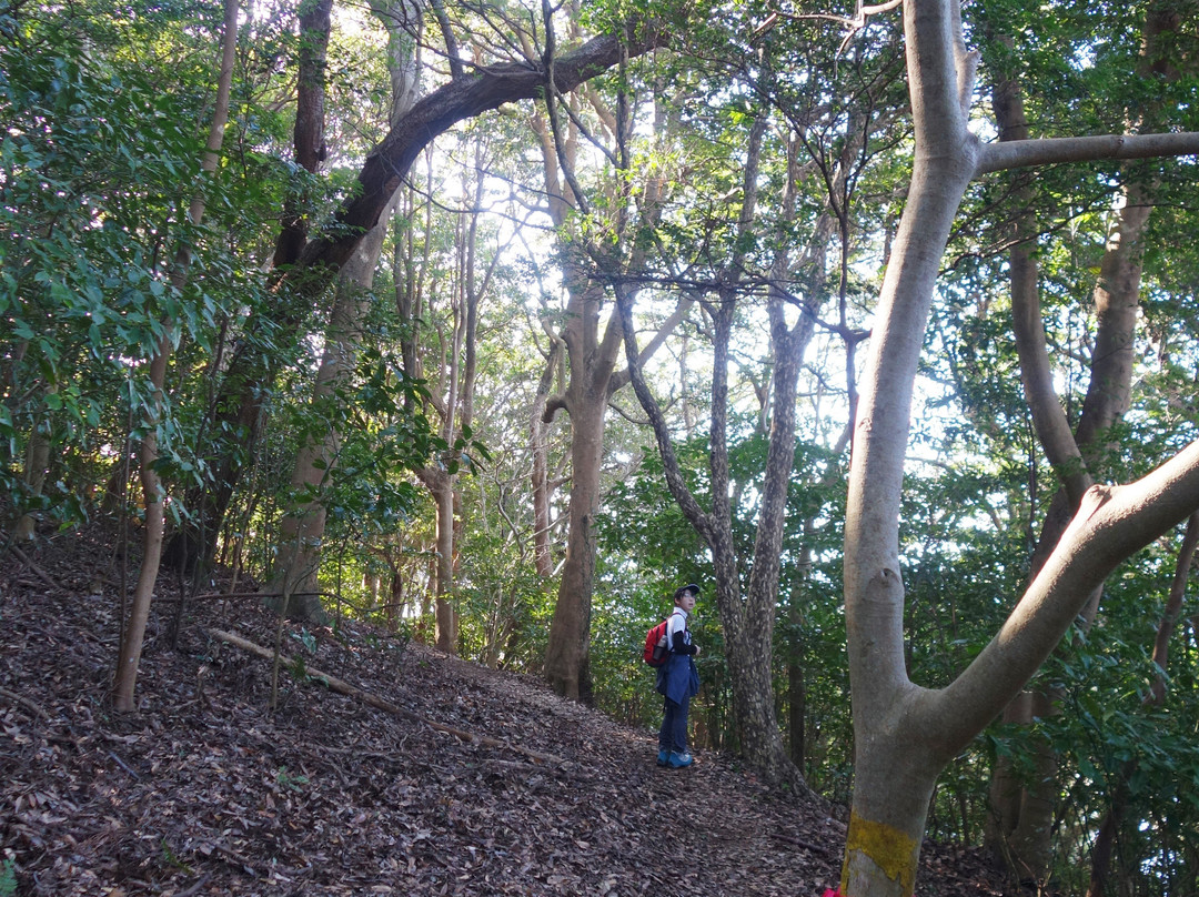 Numazu Alps Mountains景点图片