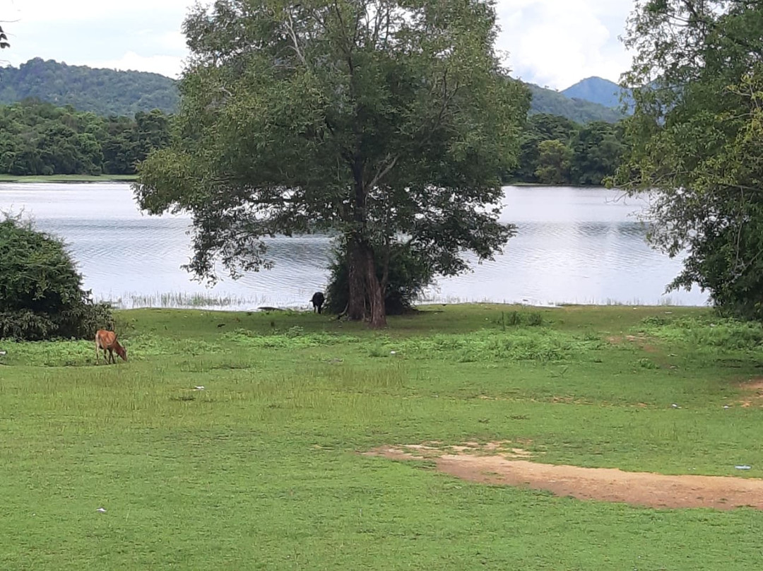 National Holiday Resort主图