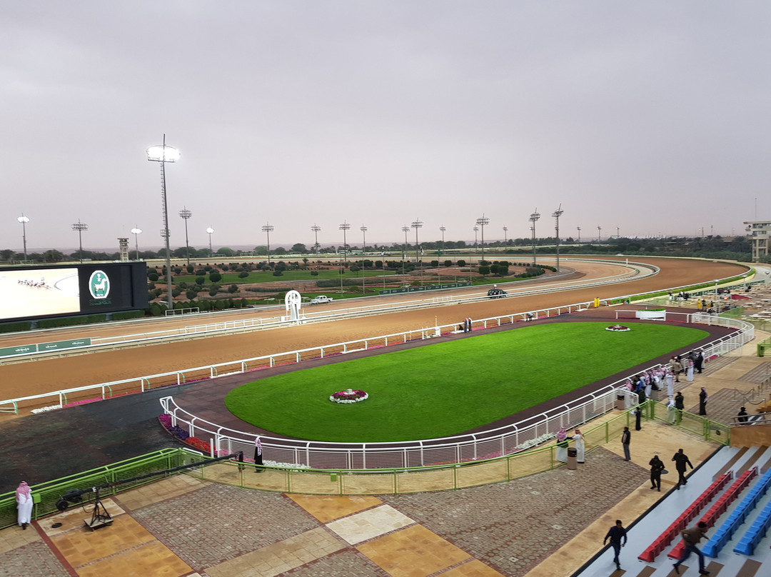 King Abdulaziz Equestrian Field景点图片