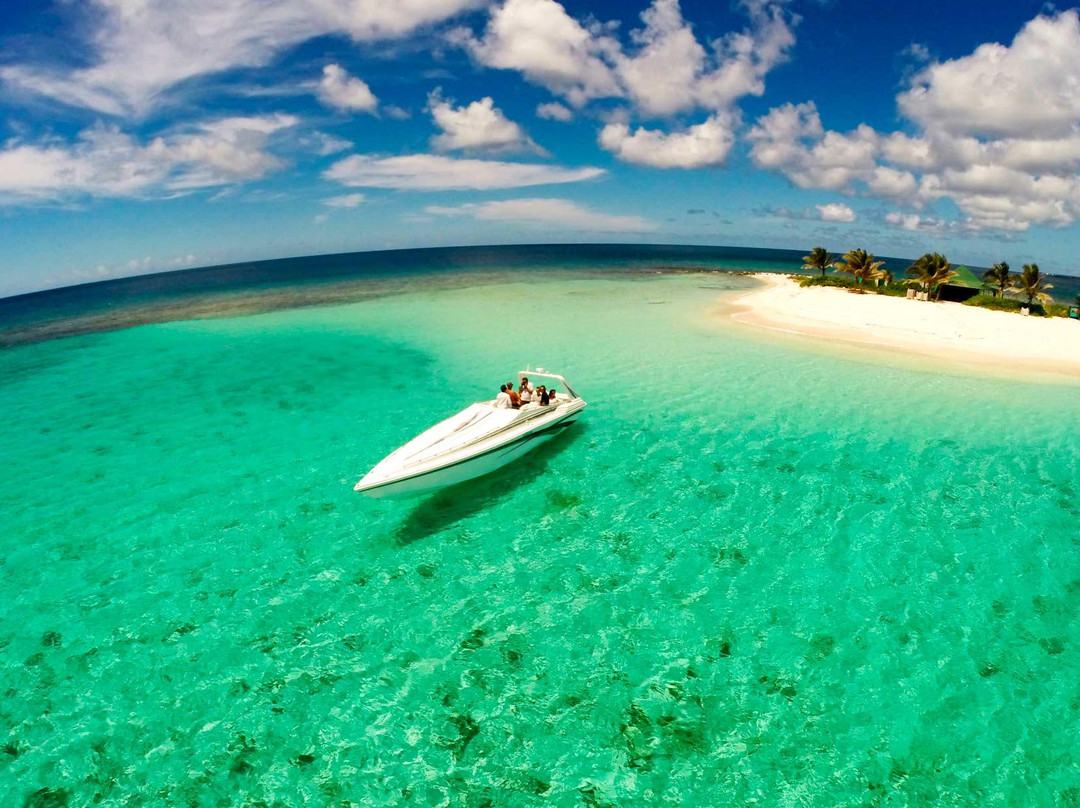 Sonic Xperience-辛普森湾必去景点