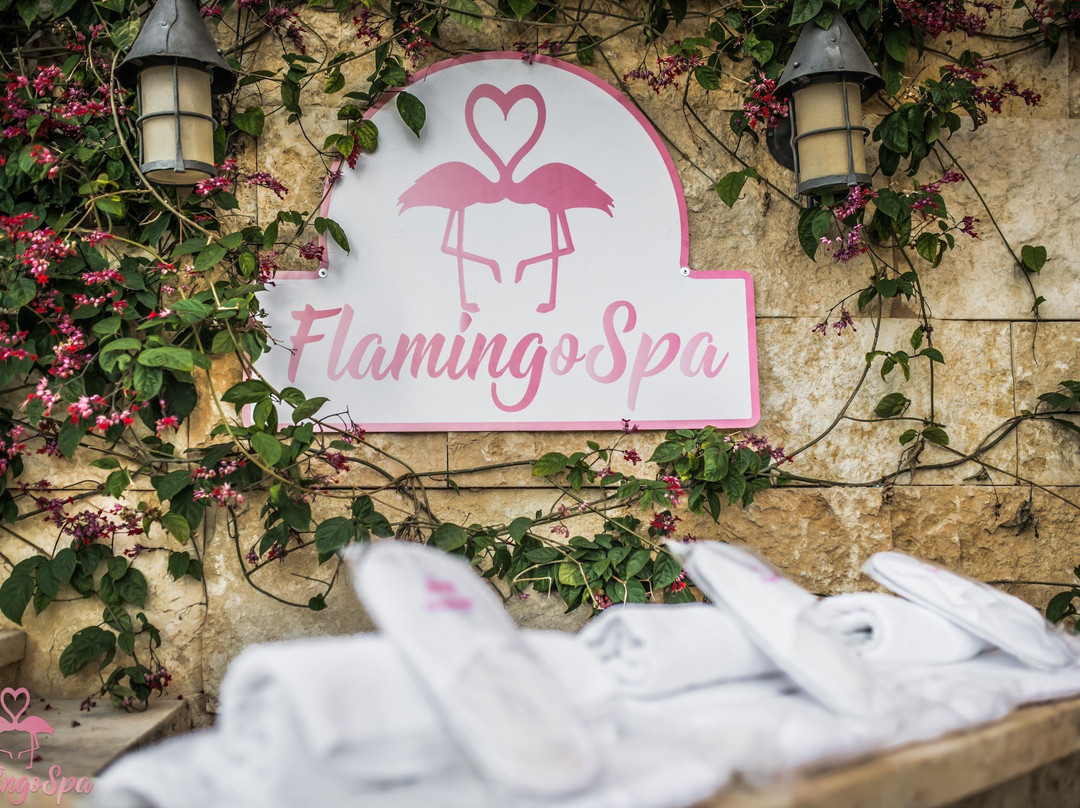 Tirat Carmel旅游景点-Flamingo Spa