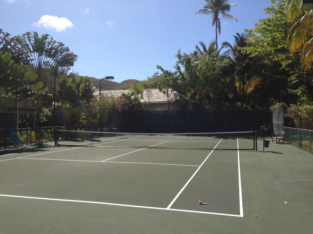 Antigua Tennis Pros景点图片