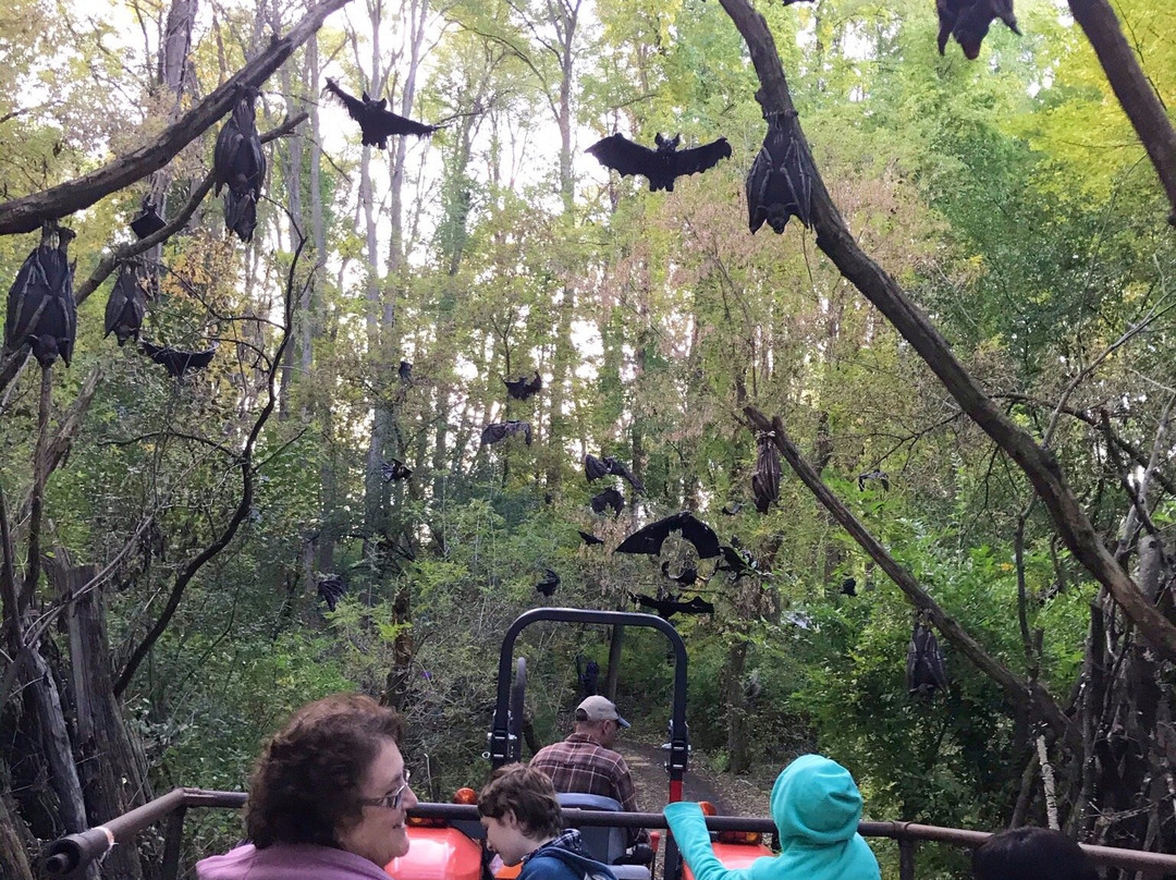 Powers Farm Market-Pittsford必去景点