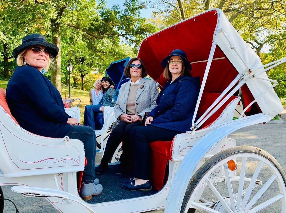 NYC horse carriage services-纽约市必去景点