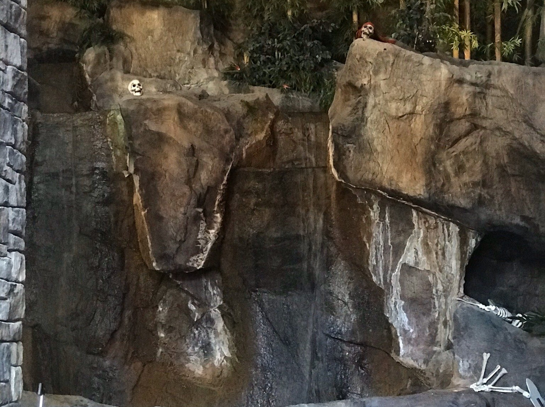 Hollywood Palms Cinema-内珀维尔必去景点