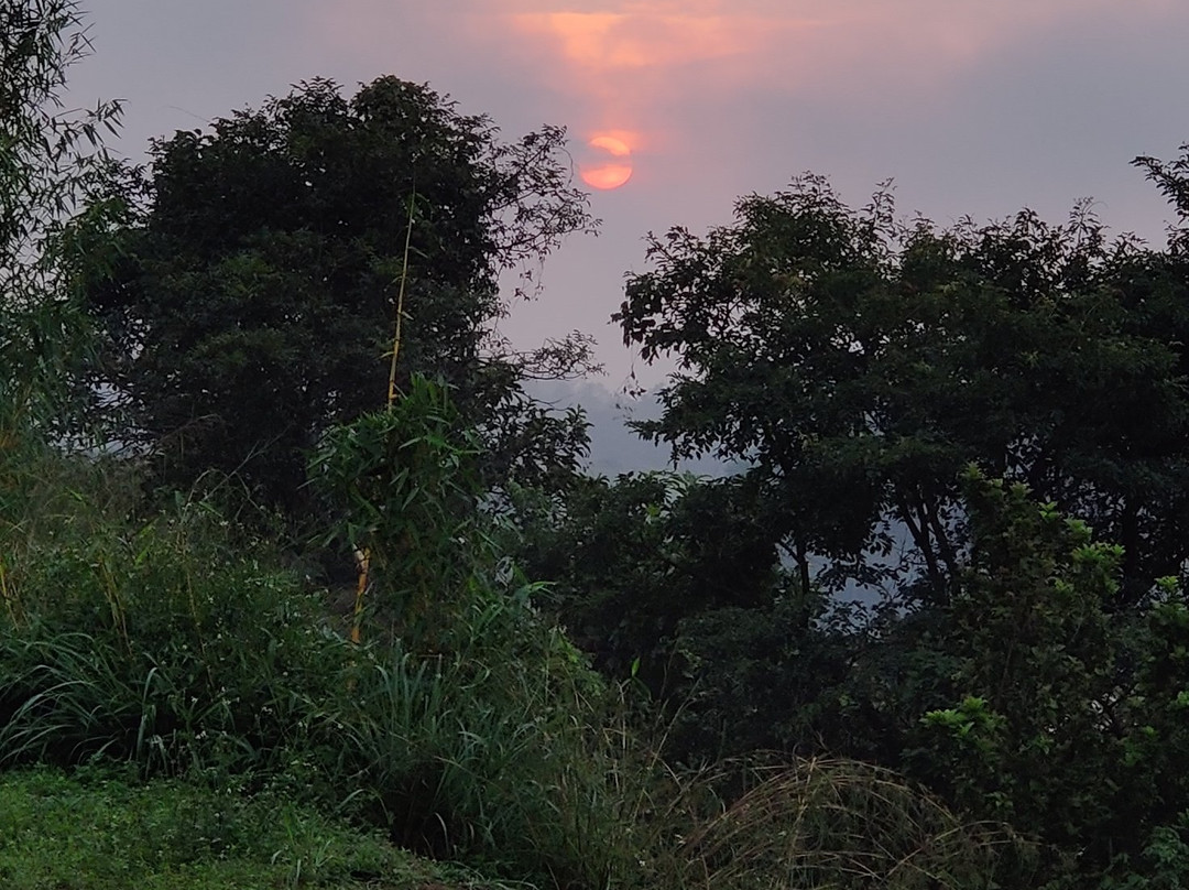 Seagot Banasura Resorts & Villas主图