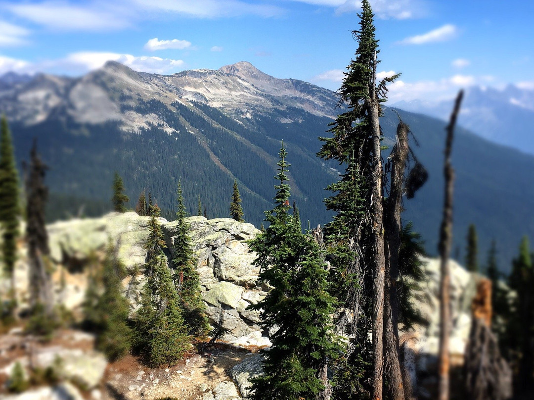 Mount Revelstoke National Park景点图片