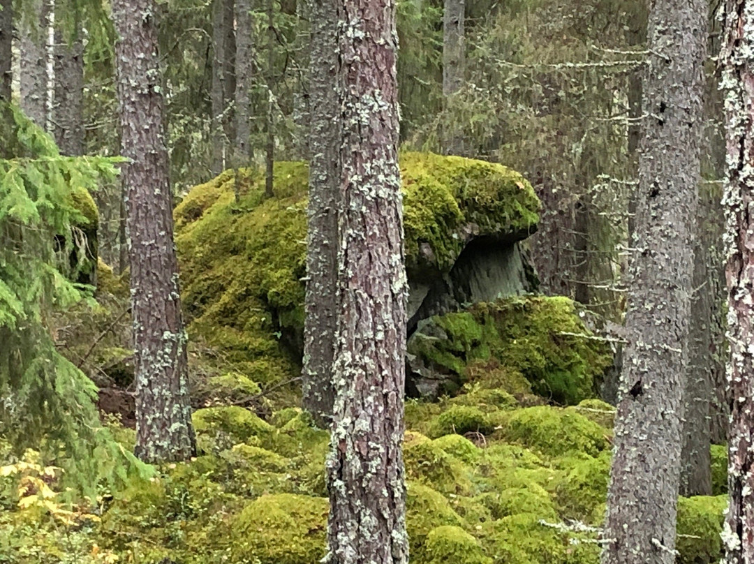 Naturreservatet Florarna-Oesterbybruk必去景点