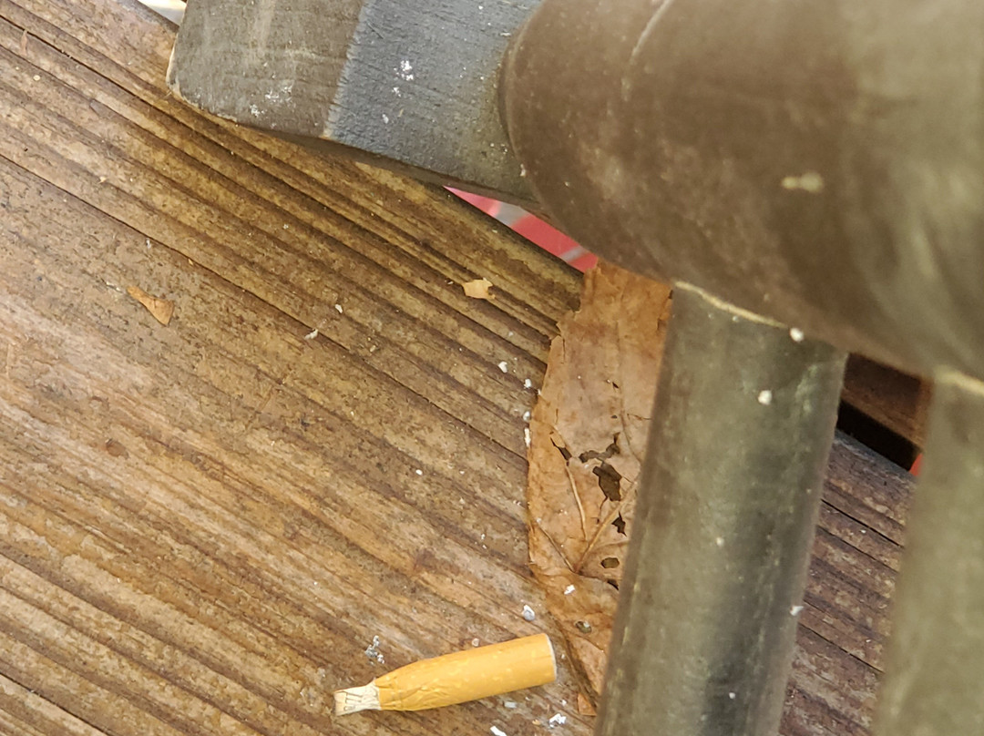 Hemlock Hills Resort主图