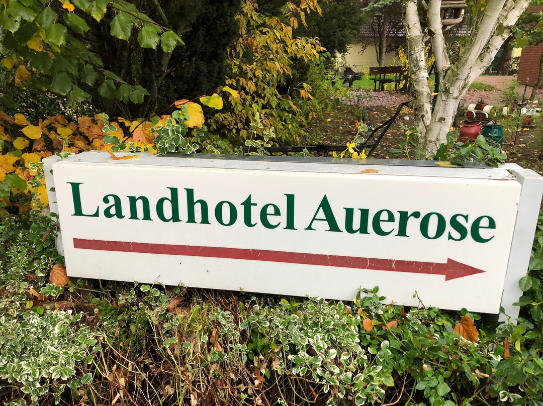 Landhotel Auerose主图