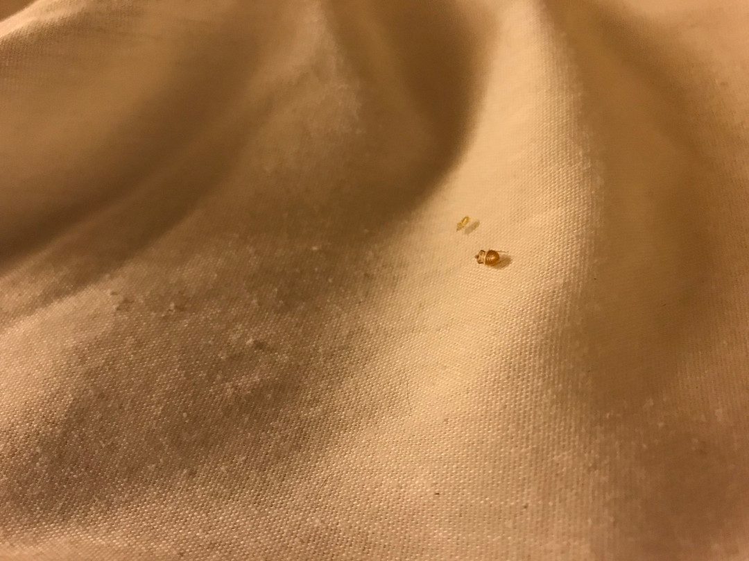 Spark by Hilton Washington Meadowlands Blvd主图