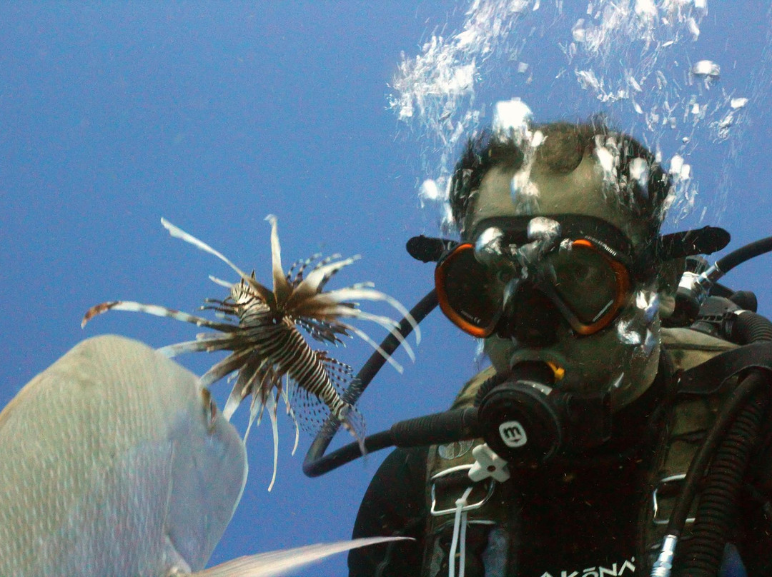 Bottom Time Divers-考祖梅必去景点