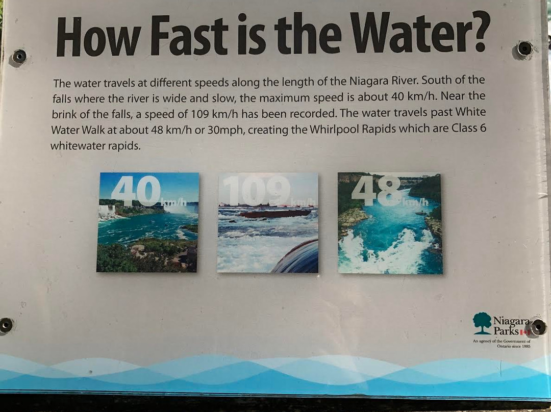 Niagara Glen Nature Areas-尼亚加拉大瀑布必去景点