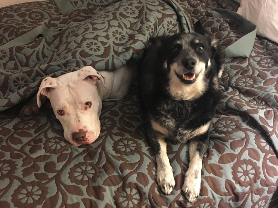 Days Inn by Wyndham Erick主图