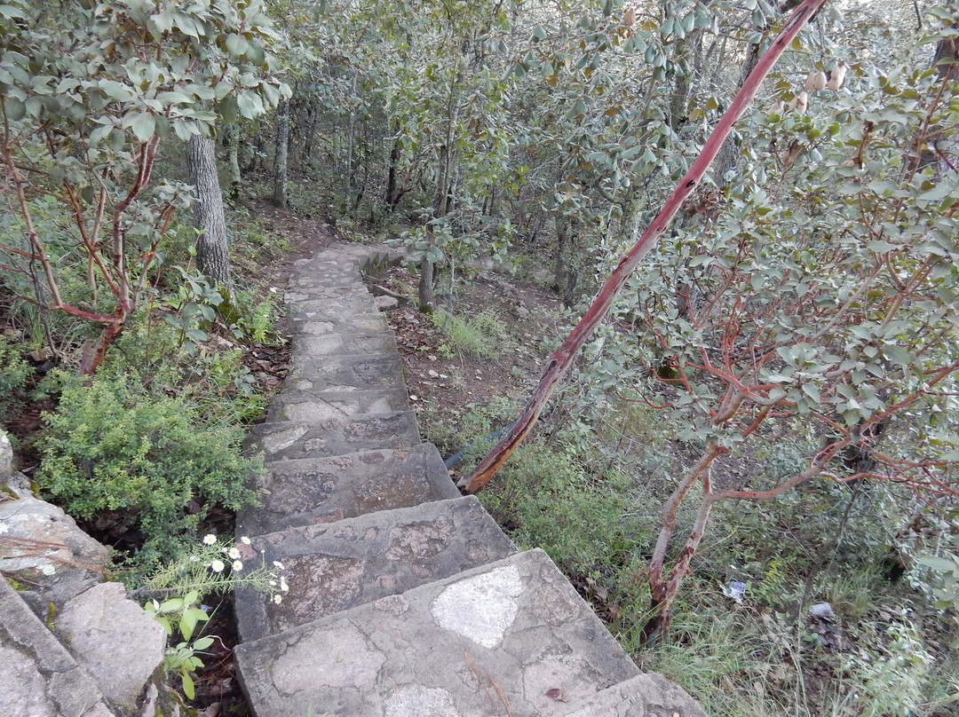 Hotel Mansion Tarahumara主图