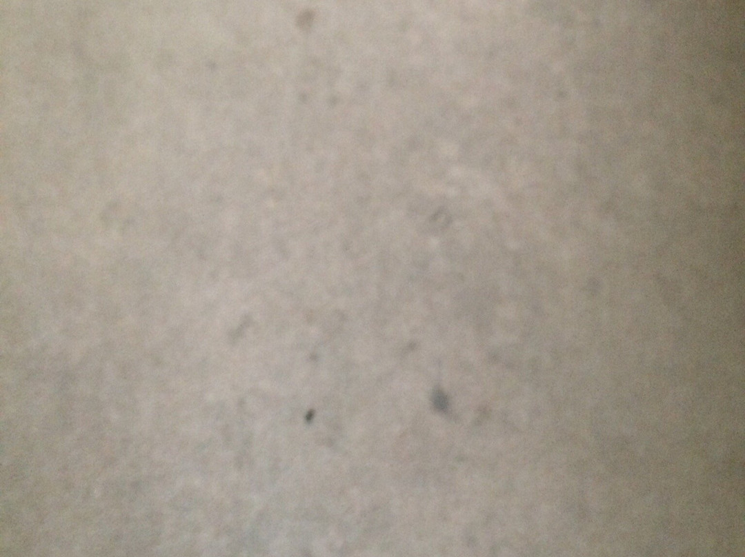 High Beach Guest House主图