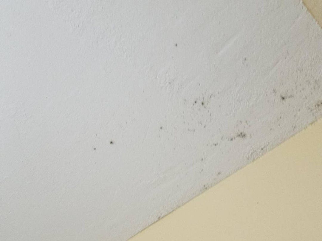 奥尔顿速8酒店主图