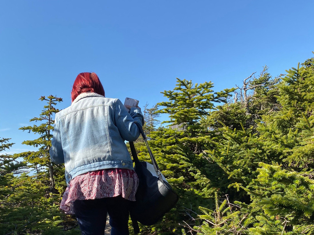 Killington - Pico Adventure Center-基灵顿必去景点