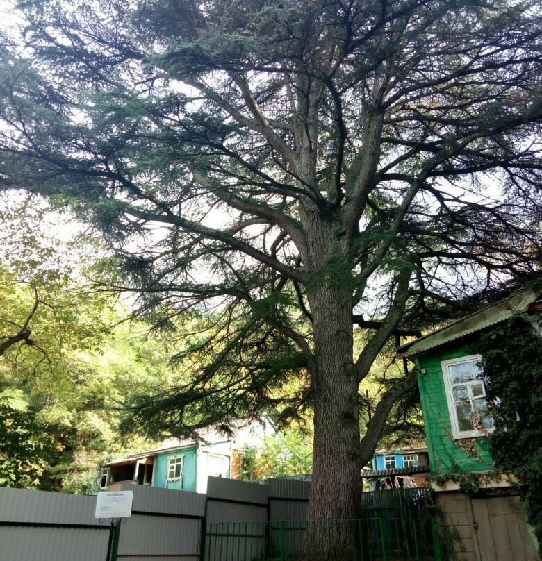 Korolenko House Museum-Dzhankhot必去景点